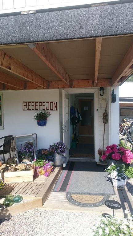 Hammerstad Camping Svolvær Εξωτερικό φωτογραφία