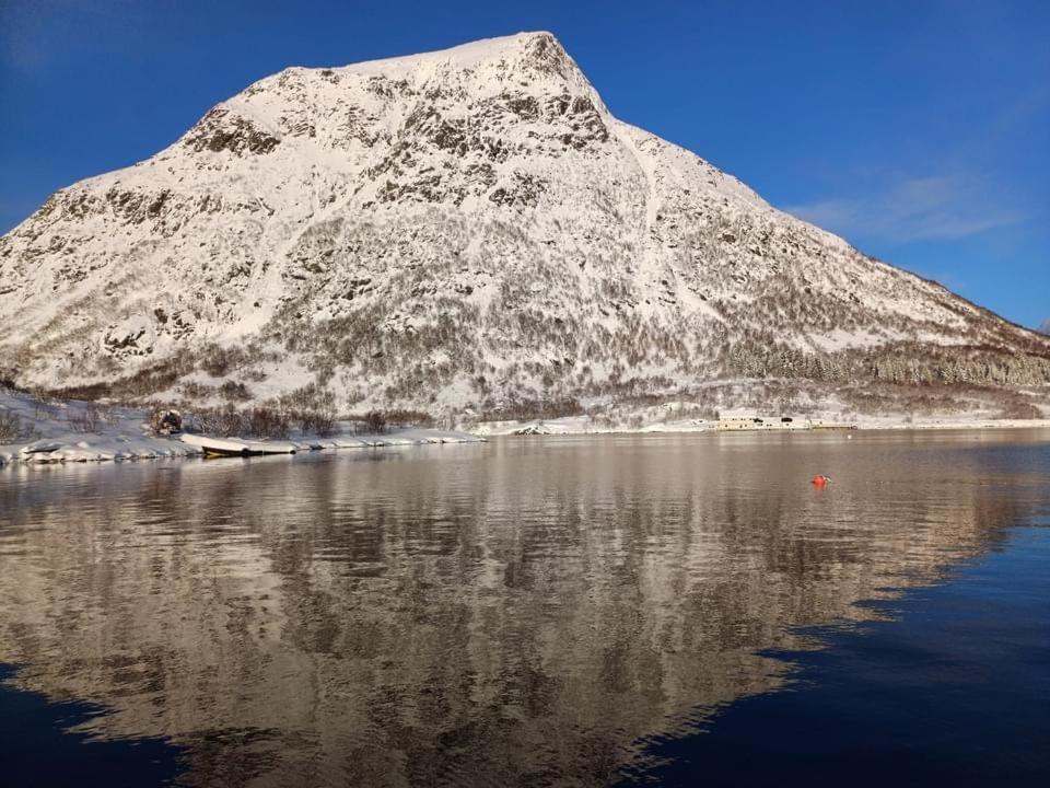 Hammerstad Camping Svolvær Εξωτερικό φωτογραφία